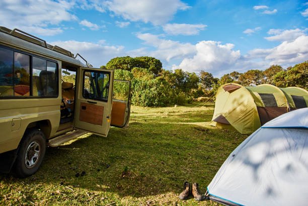 4-days-tanzania-budget-camping-safari